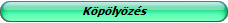 Npi gygymdok
